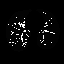 BaselineImage